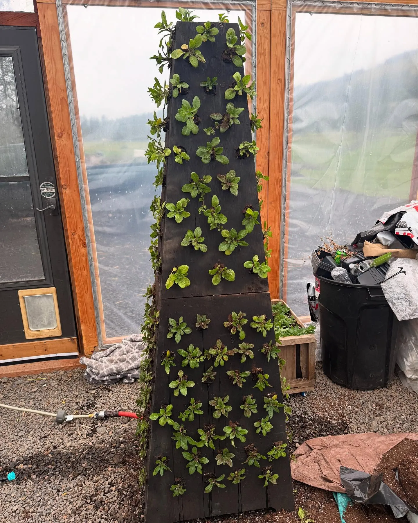 The hand-built tower shell standing in the greenhouse doorway, plants growing from its pockets.